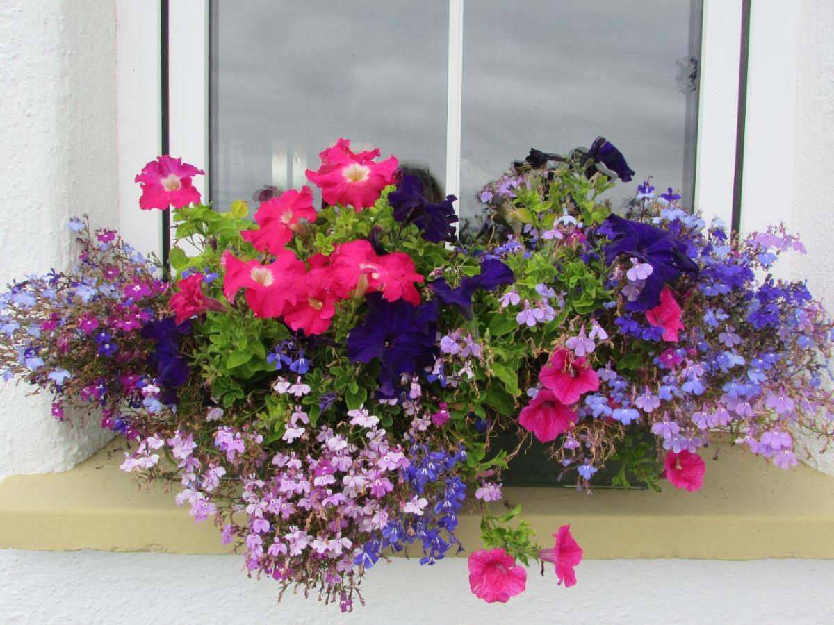 Breacan Cottage B&B Kinvara Exteriör bild
