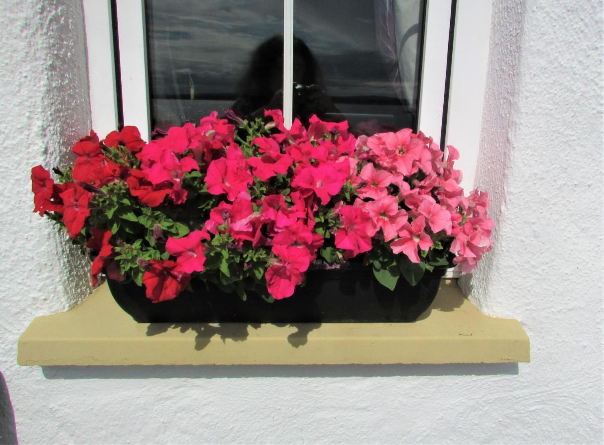 Breacan Cottage B&B Kinvara Exteriör bild